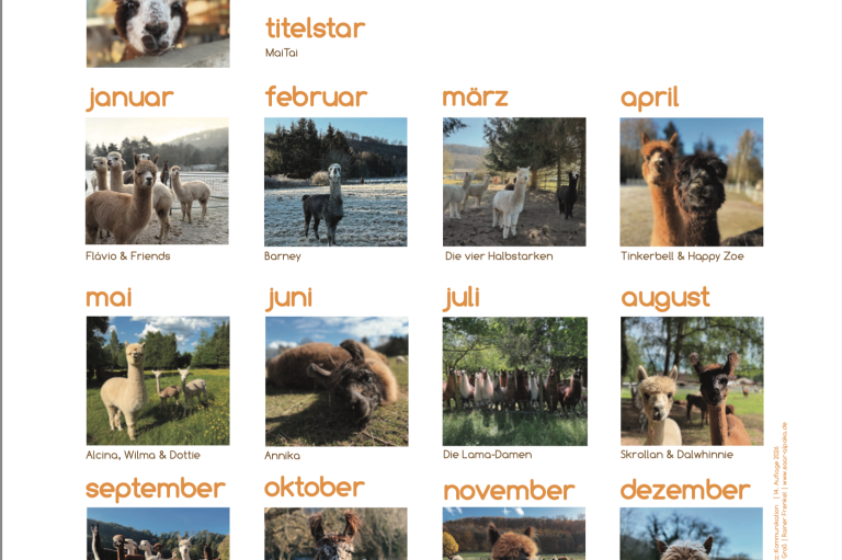 Saar Alpaka Kalender